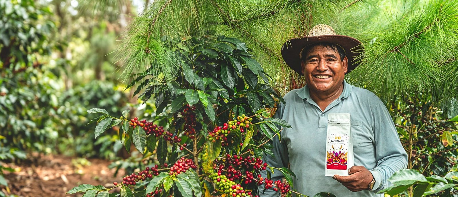 Roberto Vilca, caficultor de la finca La Candelaria, sonríe junto a un cafeto cargado de cerezas y sostiene una bolsa de Café Candelaria