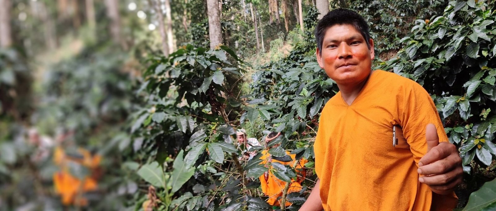 Productor de Kaffee Satipo con una canasta de cerezas de café maduras en el cafetal